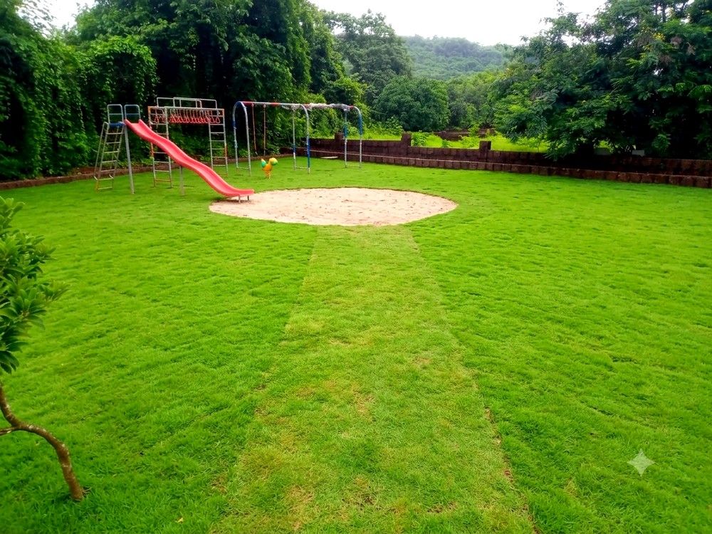 Children's play area with slide and swings on the lawn